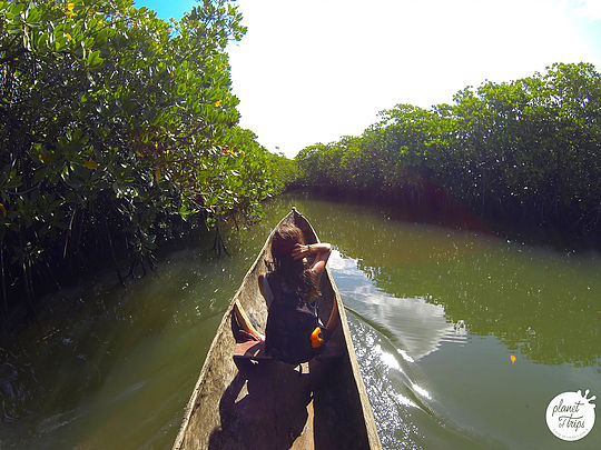  Transportes: Canoa en Manglares de Saint Marie o Manakara