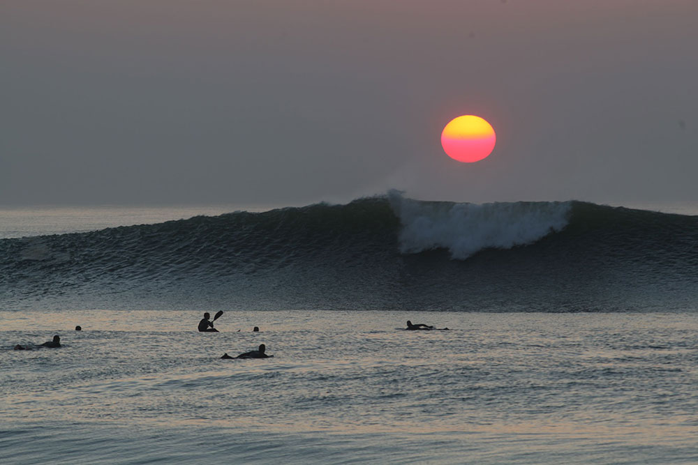 Surfers-in-the-water