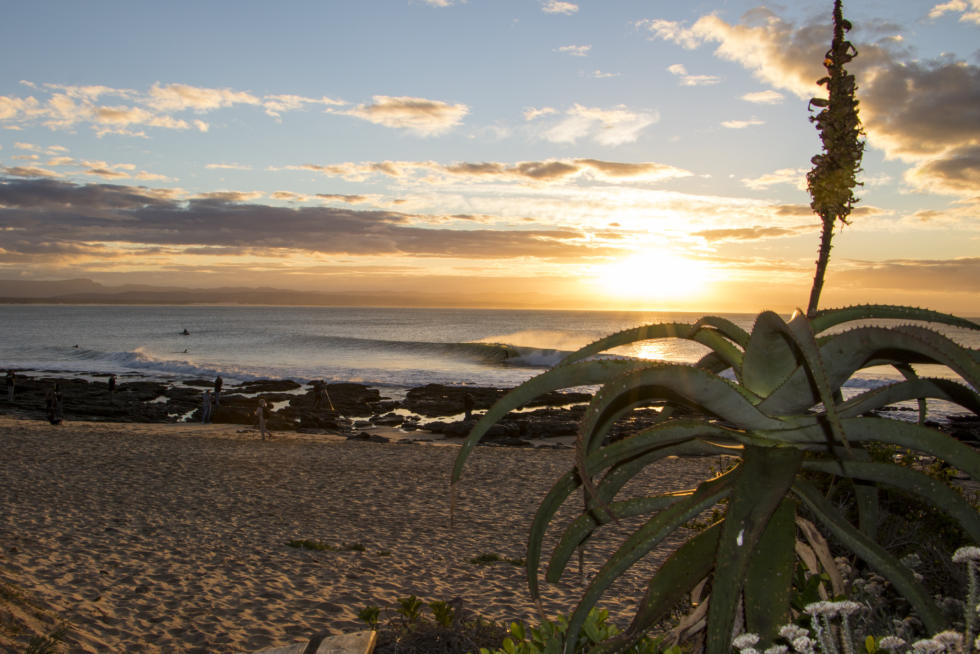 WSL Kirstin Scholtz 4