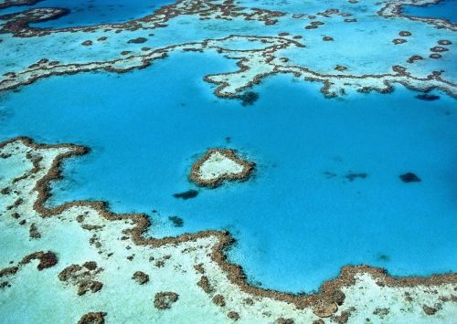 ARRECIFES DE SURF. PARTE I