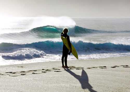 SALVAR KING ISLAND EN TASMANIA