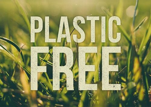 CÓMO LLEVAR UNA VIDA LIBRE DE PLÁSTICOS