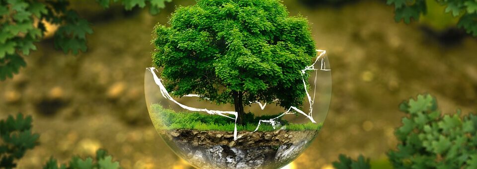 ECONOMÍA CIRCULAR, ¿QUÉ ES Y QUÉ VENTAJAS OFRECE?