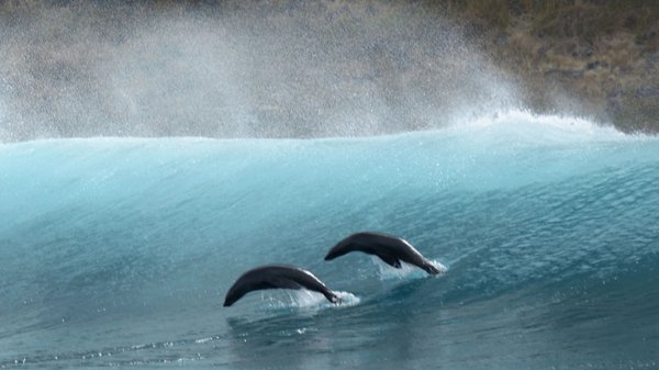 Más Afuera documental