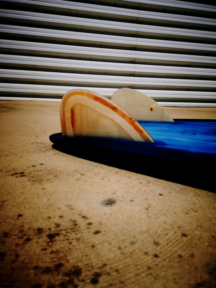Lobo De Mar Surfboards