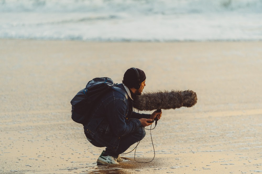Sounds of Surfing docu