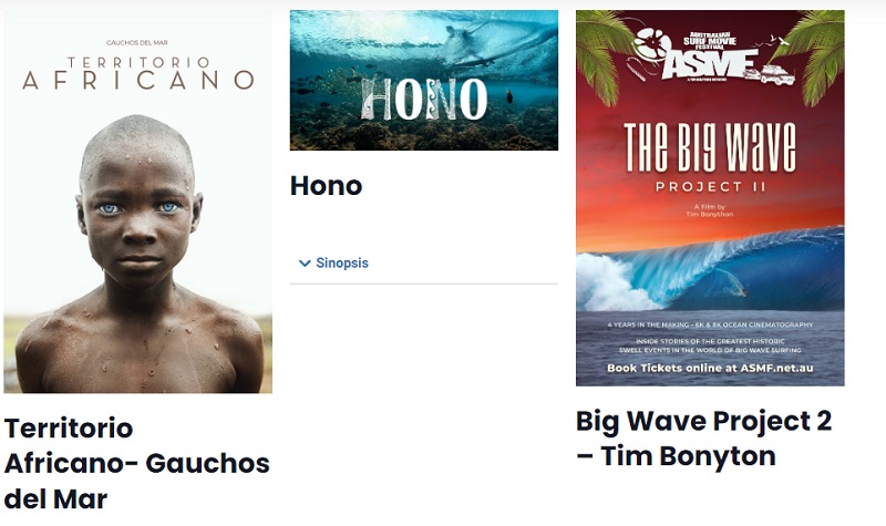 9ª Edición Festival Surf, Music and Friends