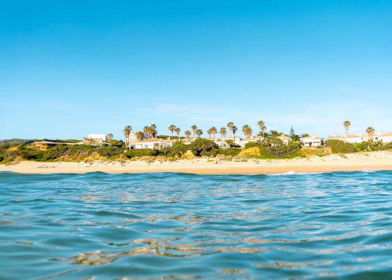 olas por rafa rodríguez