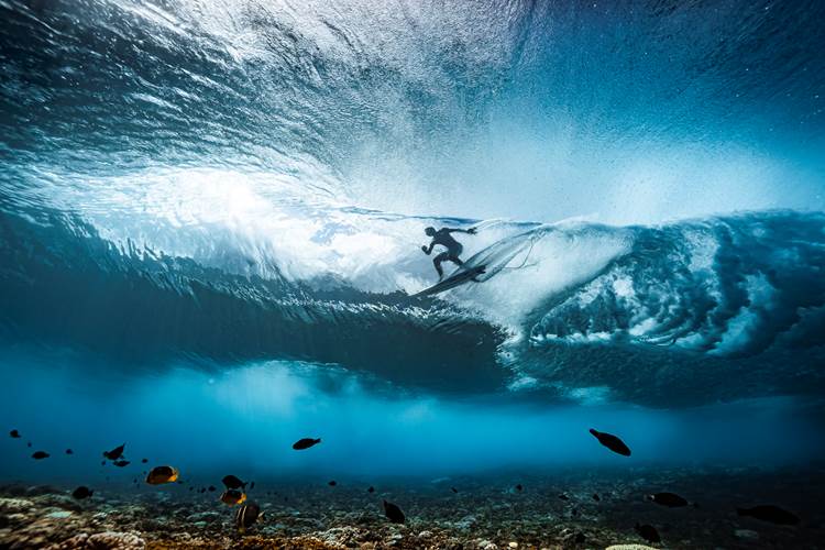 Día Internacional de Limpieza de Costas