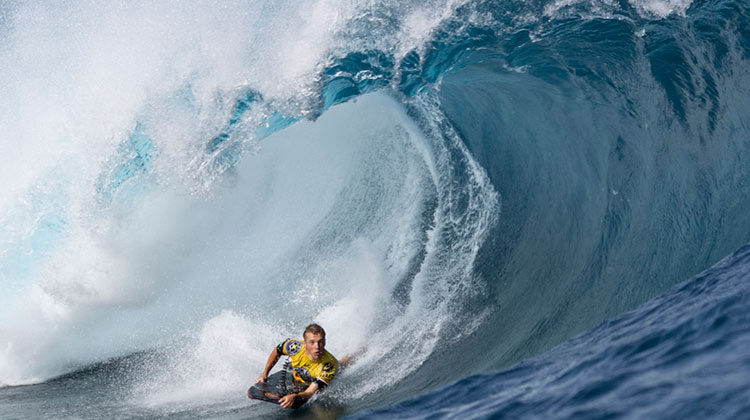 Frontón King Pro 2022