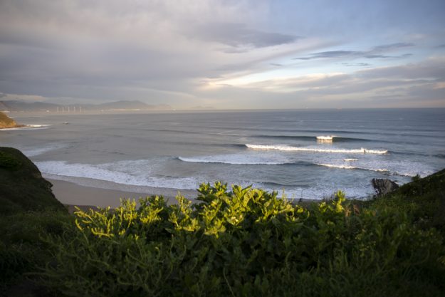 LOST IN THE SWELL – NIGLO FRITES