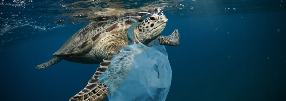 TRATADO GLOBAL DE LOS OCÉANOS