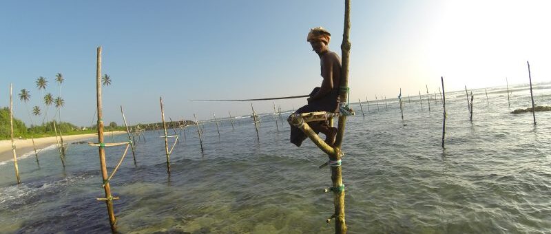 DESDE EL CORAZÓN DE SRI LANKA