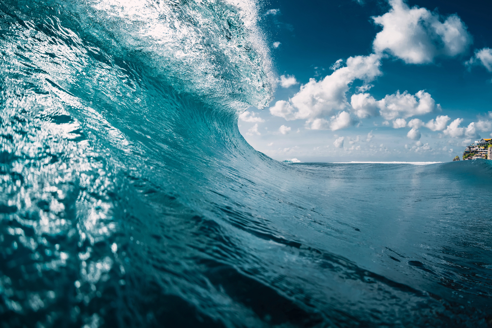 Surf y OLas