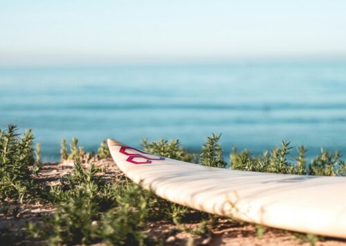 “Nada desaparece hasta que nos enseña lo que necesitamos saber”. — Pema Chodron
