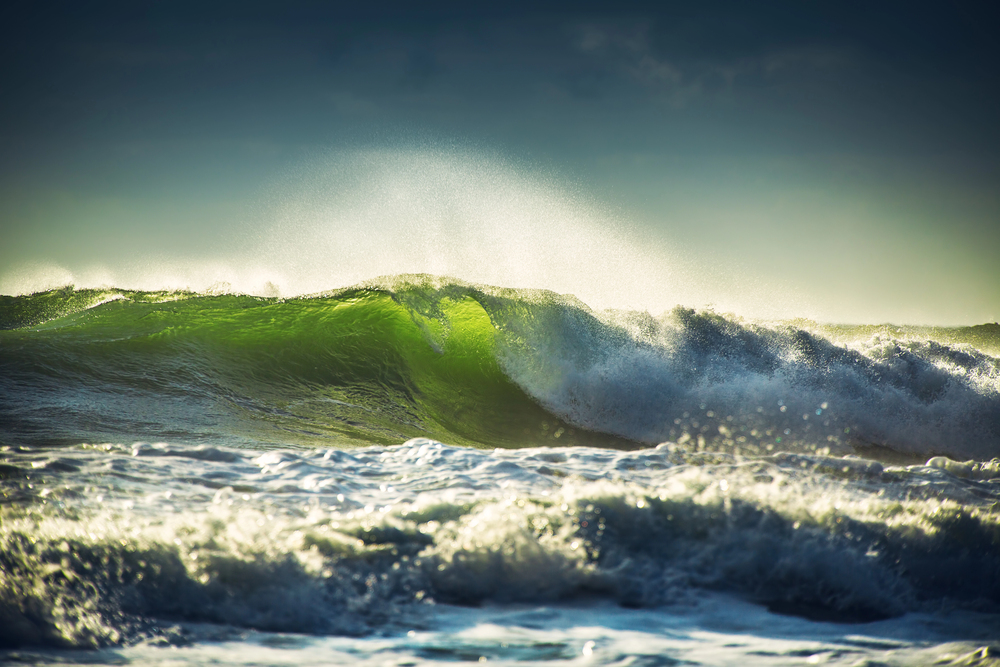 surf y olas
