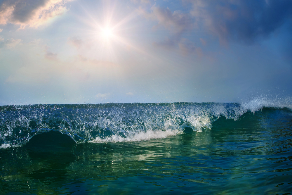 surf y olas