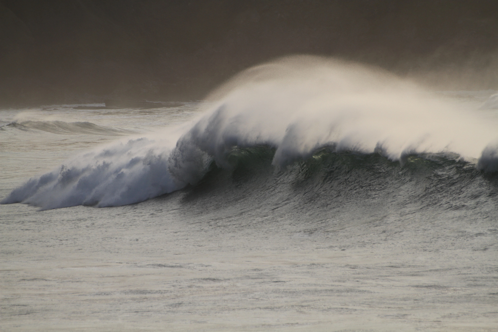 surf y olas