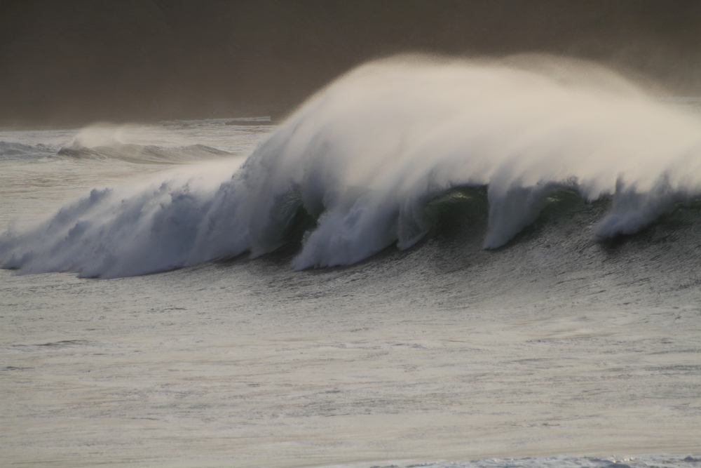 Surf y Olas