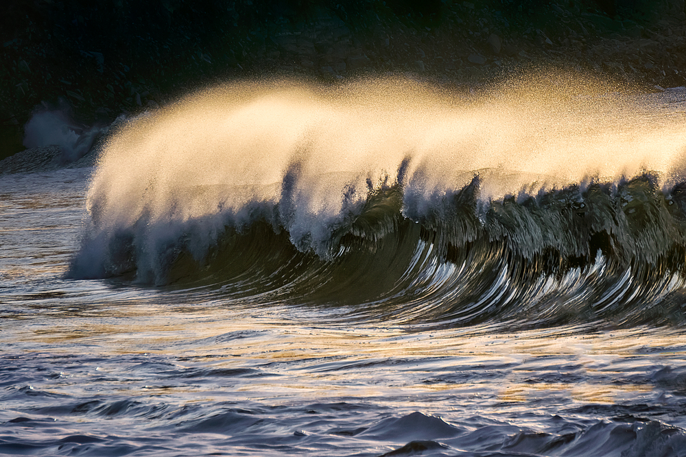 Surf y Olas