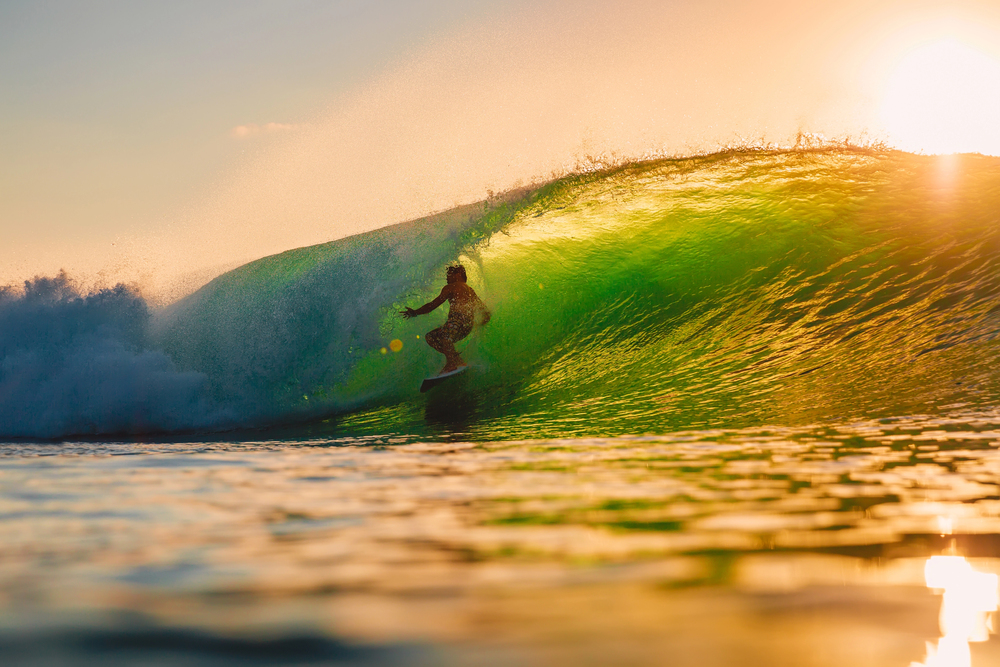 Surf y Olas