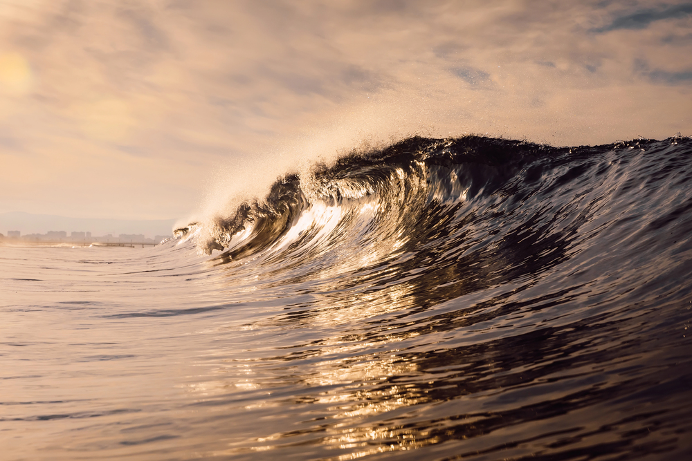 Surf y Olas