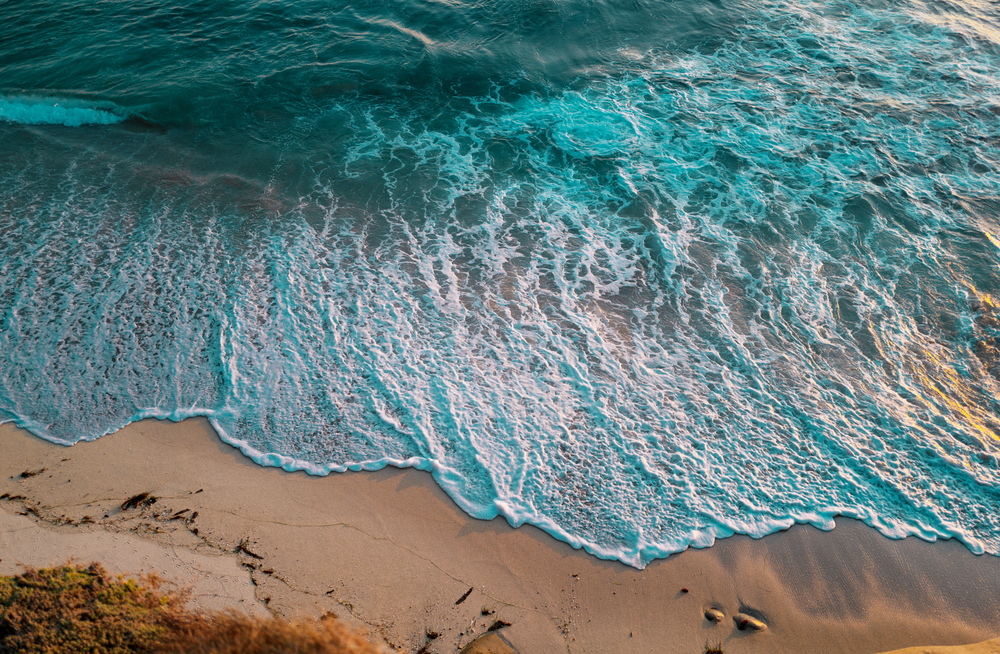 Surf y Olas