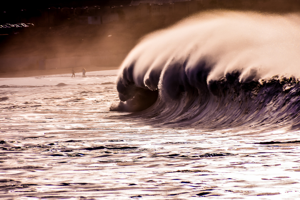 Surf y Olas