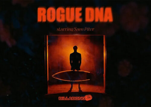 ROGUE DNA | Sam Piter