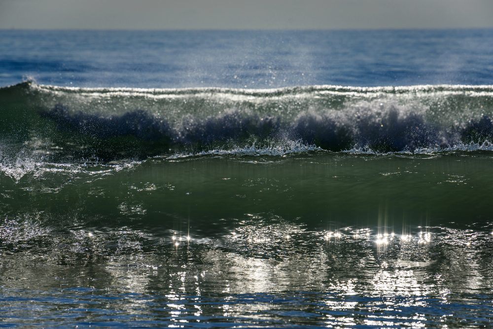 Surf y Olas