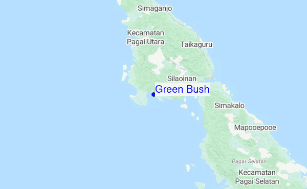 Green Bush