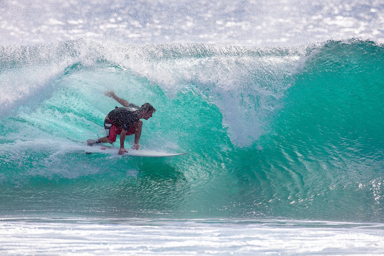 surf y olas