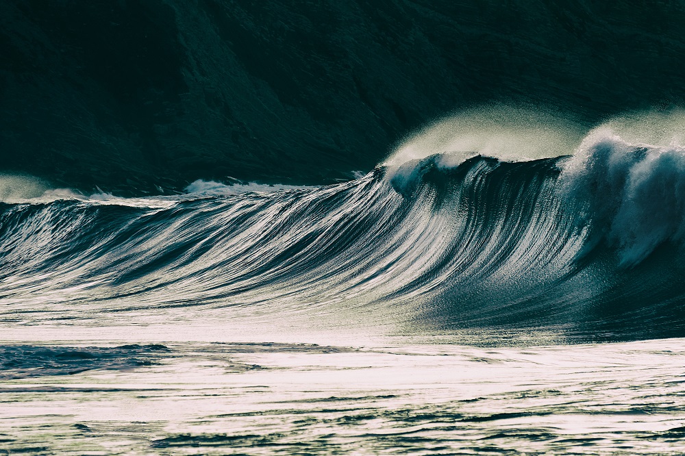Surf y Olas