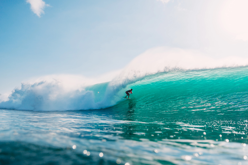 Surf y Olas