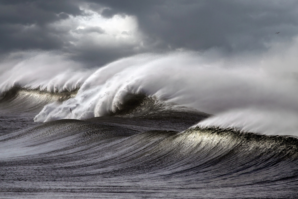 surf y olas