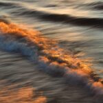 Surf y Olas