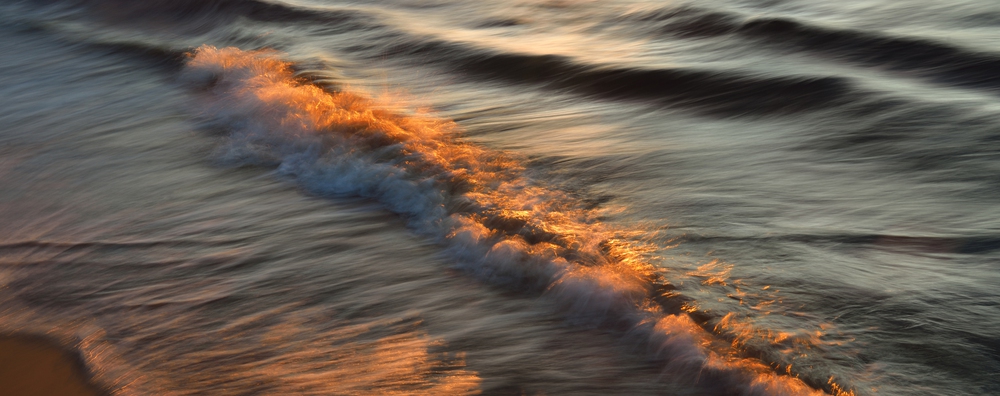 Surf y Olas