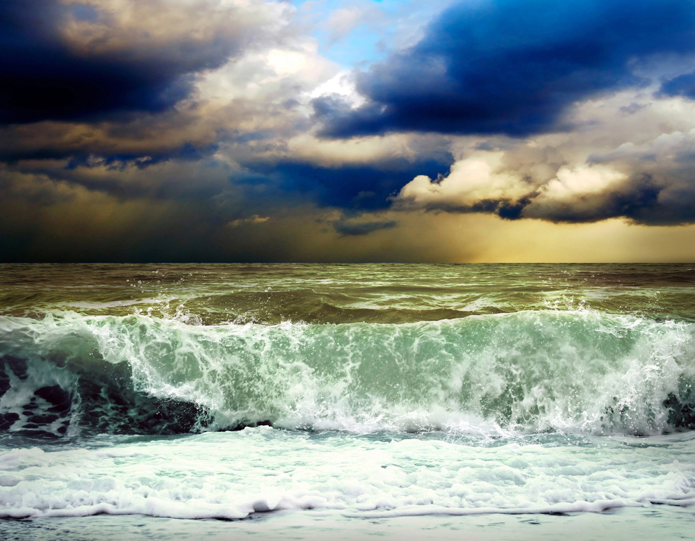 Surf y Olas