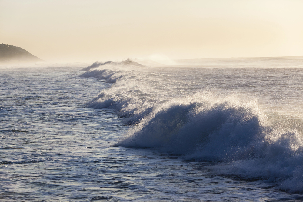 Surf y Olas