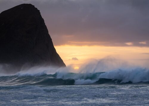 SURFING LOFOTEN, NORUEGA