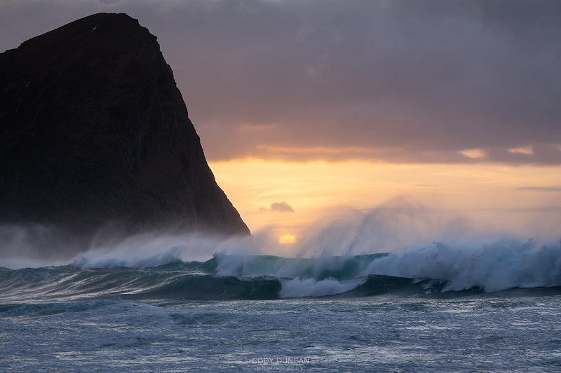 surf lofoten