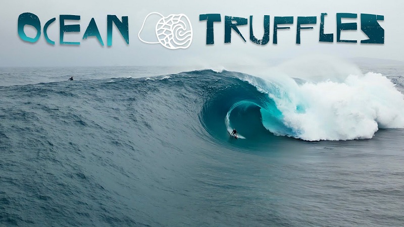 Darian Cheffers en Surf Visions
