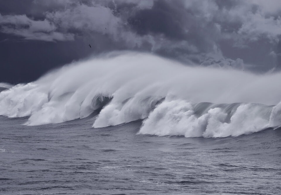 “La cámara es solo un faro; la mirada del fotógrafo es quien ilumina el momento”