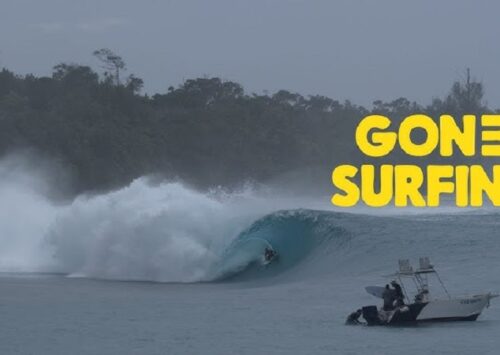 GABRIEL VILLARAN EN GREEN BUSH