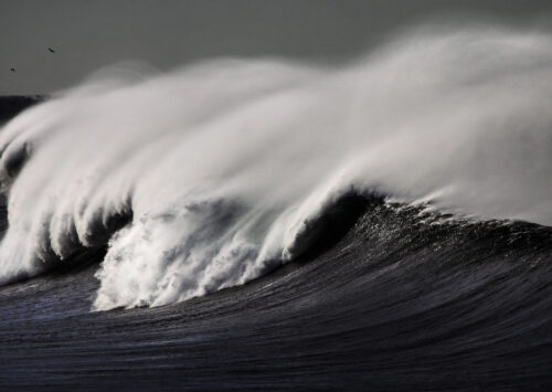 “Cuando una ola rompe, la belleza se vuelve poder y el poder se vuelve arte”