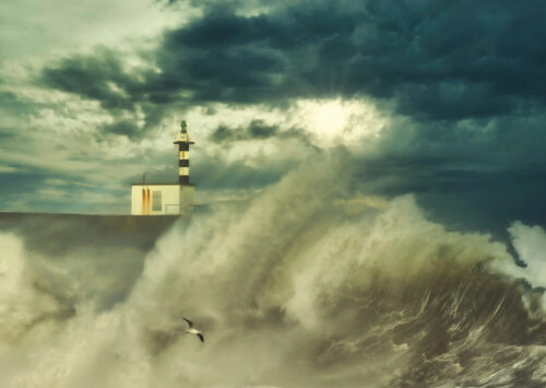 “Las olas no tienen dueño, pero pertenecen a todos los que saben admirarlas”
