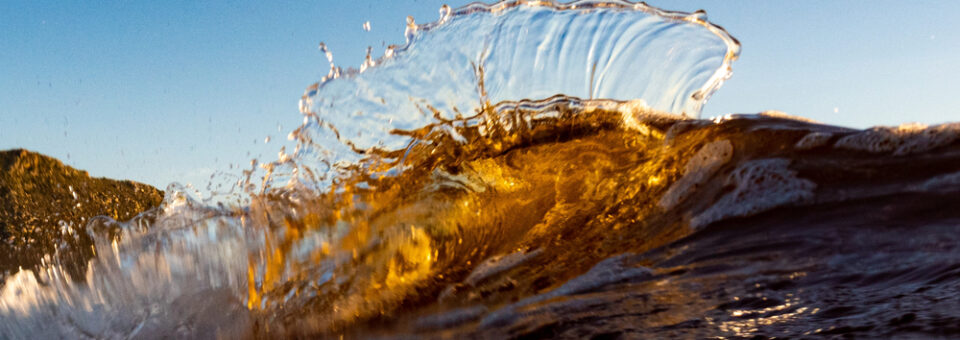“Las olas, al romper, no se destruyen: se transforman en luz, espuma y sonido”