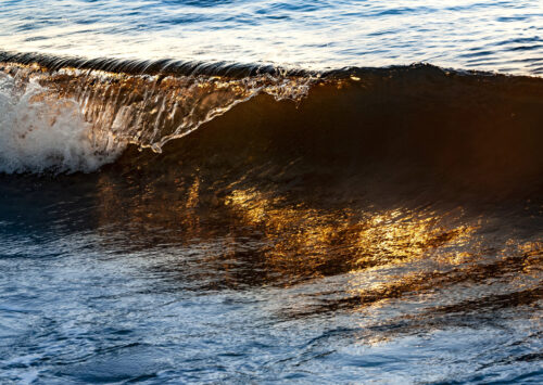 “Cuando una ola rompe, la belleza se vuelve poder y el poder se vuelve arte”