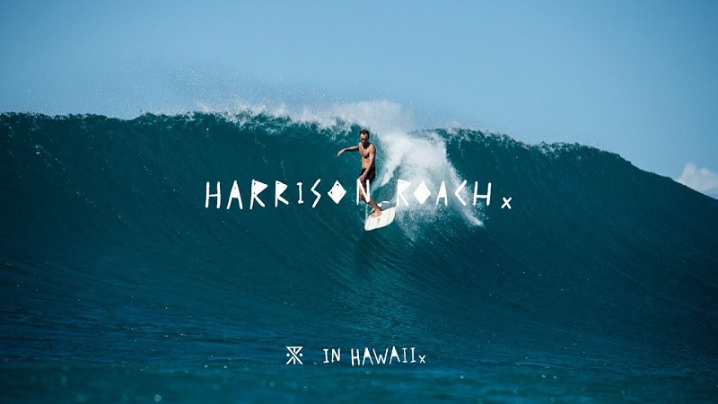 harrison roach en hawai