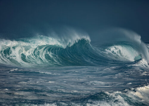 “El oleaje no posa: se entrega solo a quien sabe esperar y mirar”